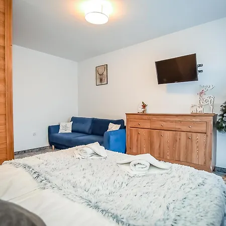 Pod Tatrzanskim Niebem Apartment *
