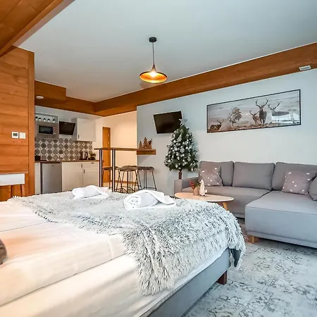 Pod Tatrzanskim Niebem Апартаменты