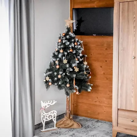 Pod Tatrzanskim Niebem Апартаменты *